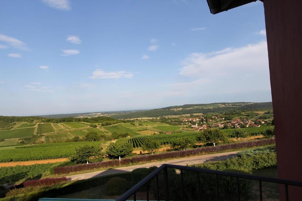 Hotel Restaurant La Montagne De Brancion Martailly-les-Brancion Ruang foto